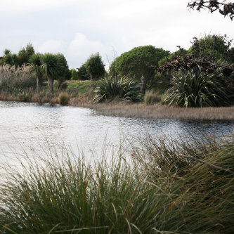 Bushy Point