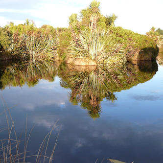 Mataura